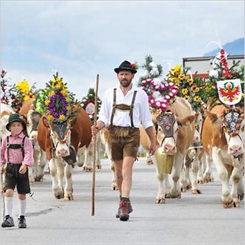 Culture Of Austria Transhumance In The Alps