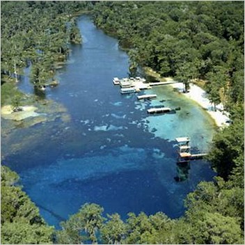 Wakulla Springs Coordinates On Wikidata